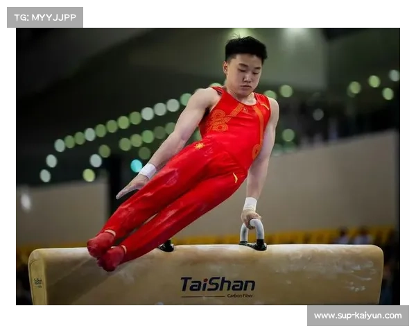 洪延明勇夺全国体操锦标赛鞍马金牌 江苏队再添辉煌荣耀 洪延明勇夺全国体操锦标赛鞍马金牌 江苏队再添辉煌荣耀
