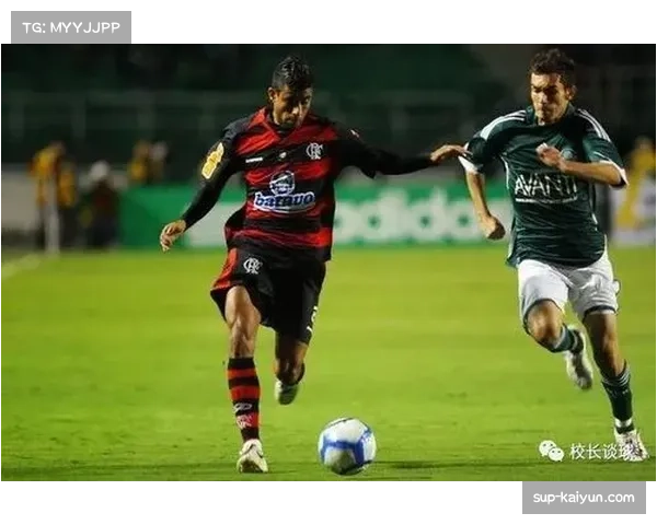 解放者杯半决赛：帕尔梅拉斯大胜对手，决赛将迎战弗拉门戈